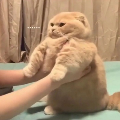 风吹少女心